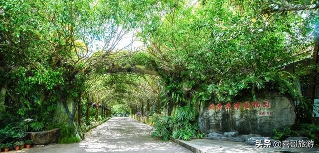 海南岛十大旅游景点介绍（海南岛旅游景点有哪些）(13)