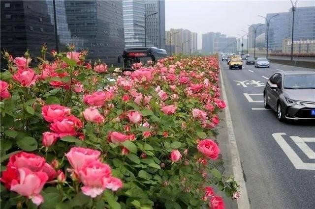 杭州旅游攻略2日游（最忆是杭州）(2)