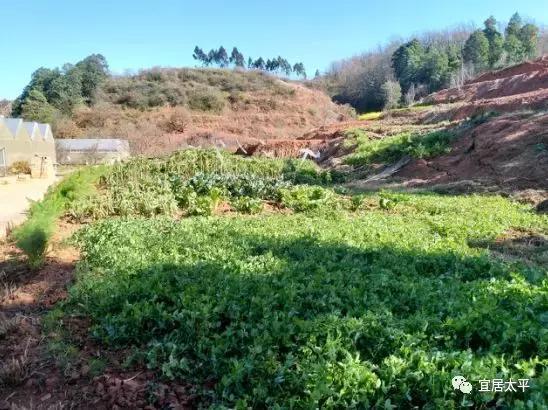 昆明周边一直被人们忽略的这个公园, 竟然推出这么多精彩的玩场!