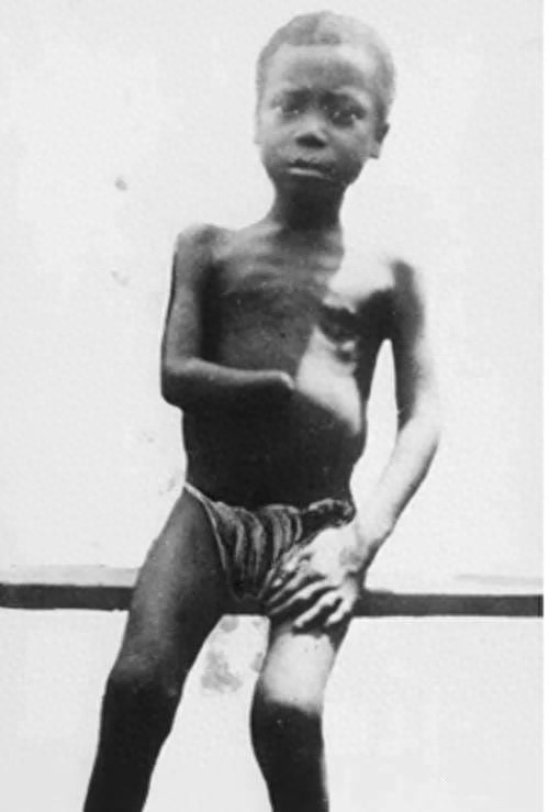 剁手国王”比利时利奥波德二世,李鸿章去欧洲的时候曾一起合影