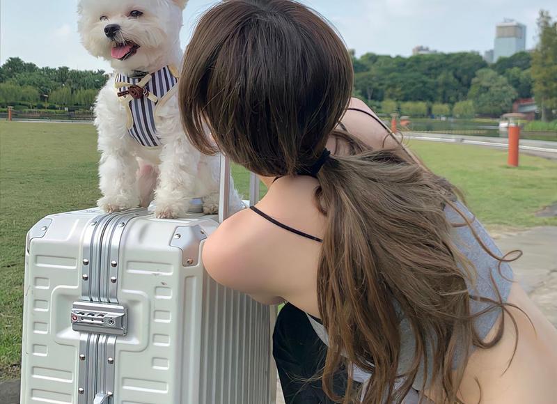 雷神3诸神黄昏（原来奥丁雷神都是食物）