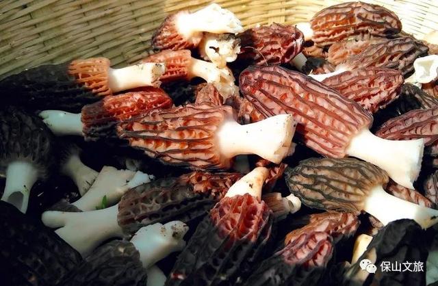 保山乡土味道美食（美味秋日渐寒）(19)