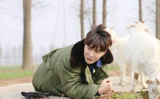 众乐乐｜黑粉这么多，为什么嘲羊群众独火？