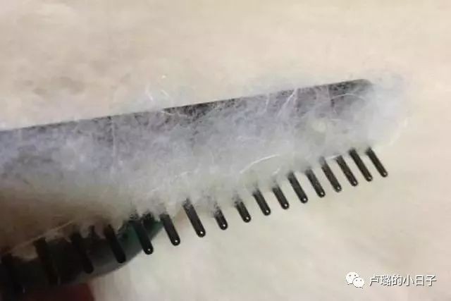 羊绒衫十大名牌女款（冬日有质感的羊绒衫品牌）