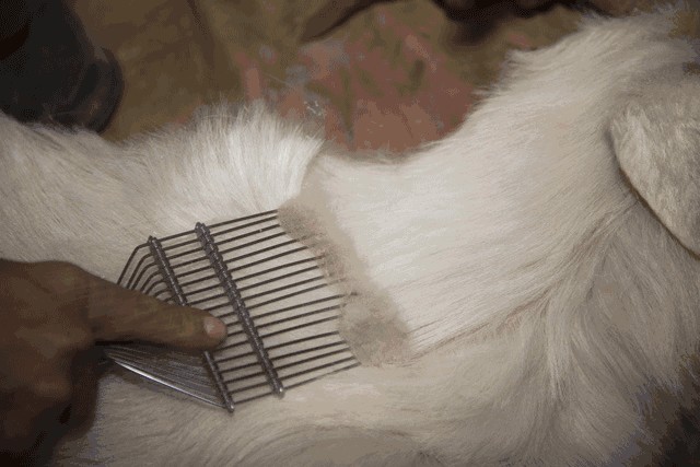 羊绒衫十大名牌女款（冬日有质感的羊绒衫品牌）