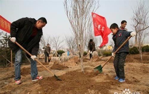 保护森林的措施有哪些,怎样保护森林资源的建议书图10