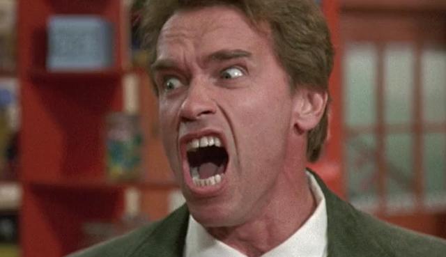 巅峰时候的阿诺施瓦辛格（12部阿诺德施瓦辛格的经典之作）(24)