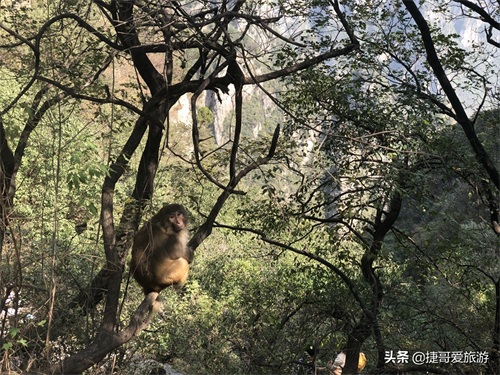 河南省 焦作 沁阳市 神农山
