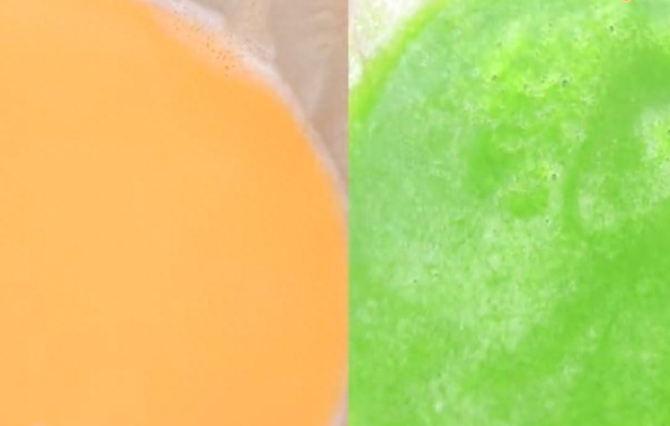 这才是蒸蛋的正确做法,营养翻倍,嫩滑不破有弹性,比吃肉还香