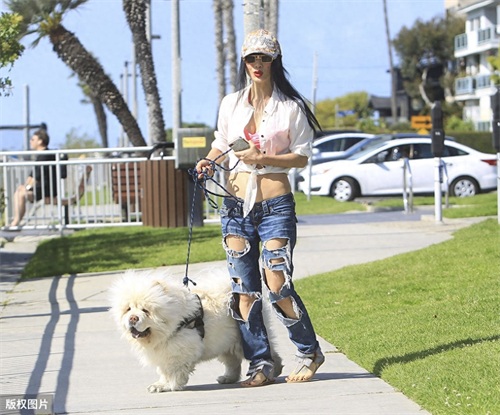 白灵又出来作妖了!穿芭比粉波点内衣光脚上街遛狗?!