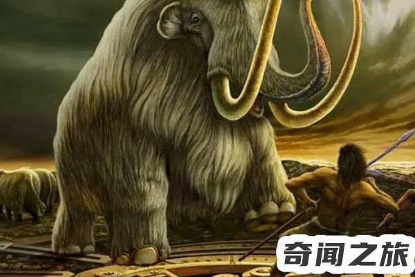 世界上灭绝的动物(爱尔兰麋鹿曾经生活在地球上体型最大的鹿)(2)_