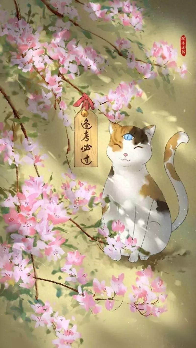 逢考必过壁纸 | 考的全会，蒙的全对，考试加油呀