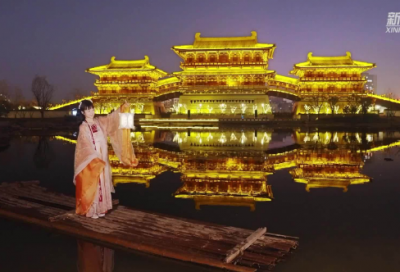 ​一片冰心在玉壶是什么意思