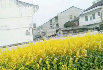 ​运动会加油稿