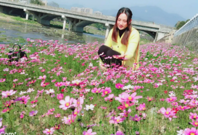 ​保证合同