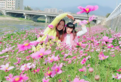 ​合伙做生意合同