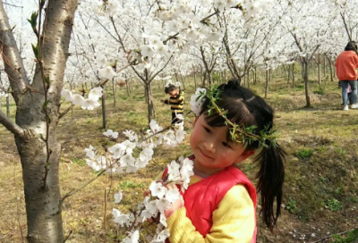 ​教师节主题班会主持稿