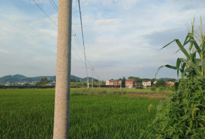 ​贫困资助感谢信