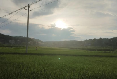 ​高中语文说课稿
