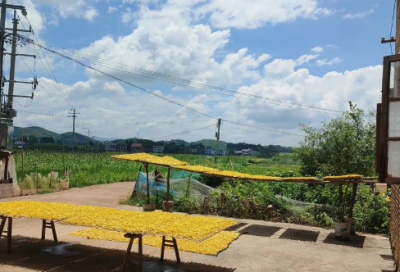 ​承德避暑山庄导游词