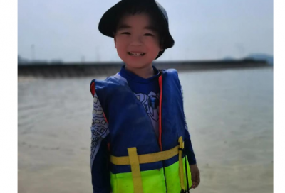 ​理想议论文