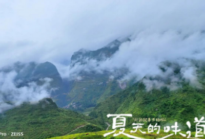 ​执行异议申请书
