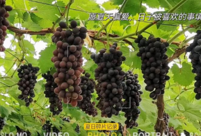 ​公司年会主持人开幕词