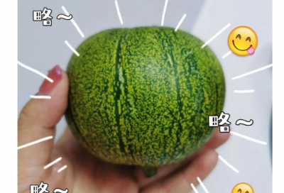 ​学习6s管理的心得体会